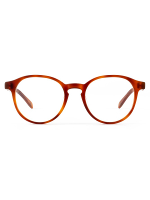 Sutro Optical 03