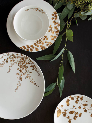 Vera Jardin Dinnerware Collection