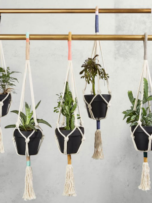 Yerbamala Designs Plant Hangers - Colorblock