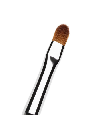 Lip Brush