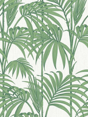 Honolulu Wallpaper In Palm Green By Julien Macdonald For Graham & Brown