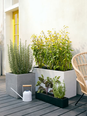 Cityscape Tabletop Planters