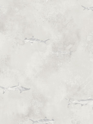 Sharks Wallpaper In Silver, Cream, And Grey From The Aerial Collection By Mayflower Wallpaper