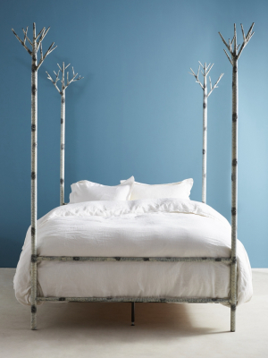 Birch Forest Four-poster Bed