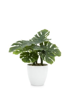 Villa Faux Potted 12" Plant - Monstera