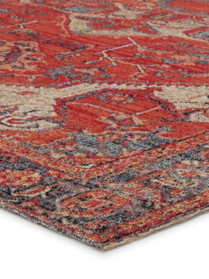 Leighton Indoor/ Outdoor Medallion Red & Blue Area Rug