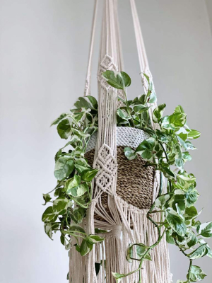 Large Darling Macramé Plant Hanger