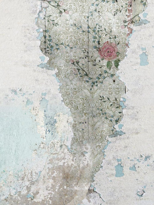 Eloise