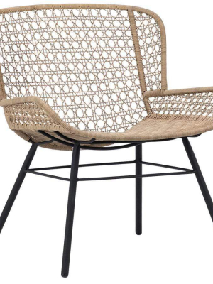 Lyndon Leigh Delfine Indoor/outdoor Occasional Chair