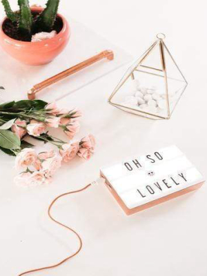 Micro Rose Gold Lightbox