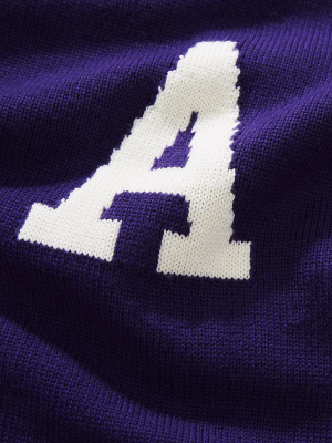 Merino Amherst Letter Sweater (purple)