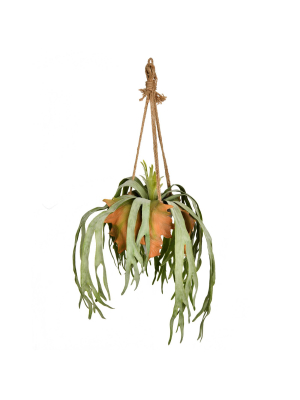 Vickerman 22" Staghorn Fern, Hanging Ceramic Pot