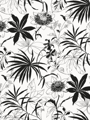 Tropical Garden Peel-and-stick Wallpaper In Black And White By Nextwall