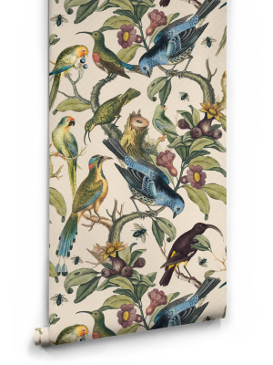 Ornithology Wallpaper From The Erstwhile Collection By Milton & King