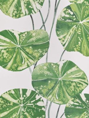 Brahmi Wallpaper In Leaf From The Zardozi Collection By Designers Guild