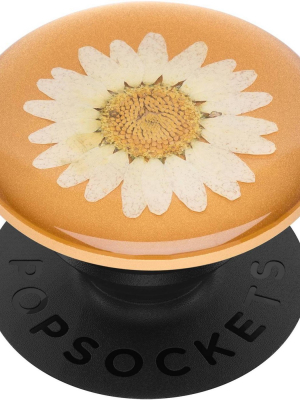 Popsockets Popgrip Cell Phone Grip & Stand - Press Flower Daisy (white)