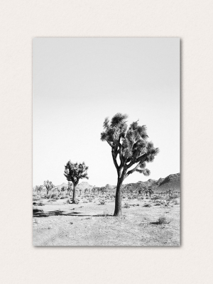 Desert Tree Bw