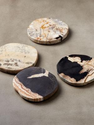 Ring Petrified Wood Coasters Set Of 4