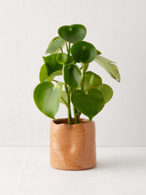 Pinched Ceramic 4” Planter