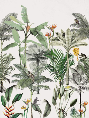 Above The Tropics Wall Mural In White By Walls Republic