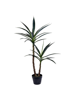 Vickerman Artificial Green Yucca Tree.