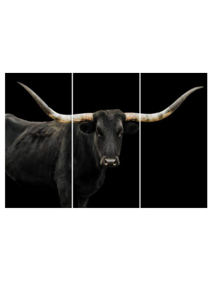 Black Longhorn Triptych (set Of 3 - 24 X 48)