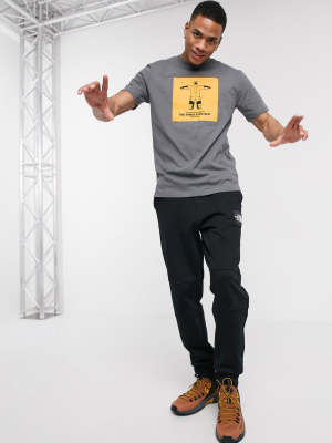 The North Face From The Beginning T-shirt In Gray