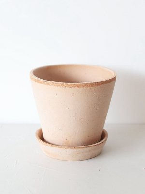 Bergs Julie Clay Pot With Drainage - 5"