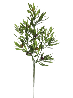 Vickerman 26" Artificial Green Olive Leaf Spray.