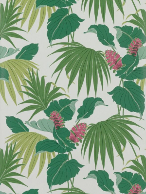 Vernazza Wallpaper In Green From The Manarola Collection By Osborne & Little