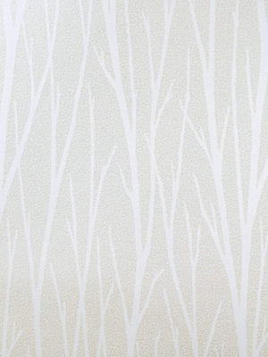 Birch Trail Wallpaper In Champagne And Cream From The Essential Textures Collection By Seabrook Wallcoverings