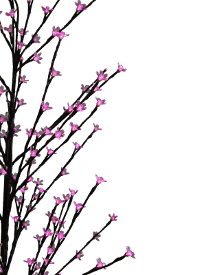 Lb International 6' Prelit Led Cherry Blossom Flower Tree - Pink Lights