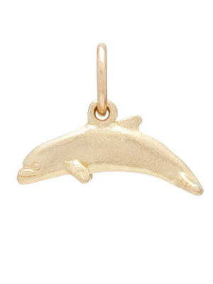 Flat Dolphin Mini Charm