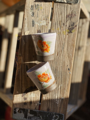 Shot Glass: Orange Poppy - Lavender