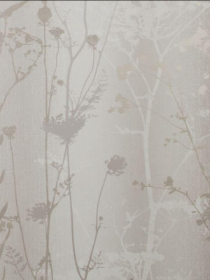 Wild Flower Wallpaper In Sand From The Exclusives Collection By Graham & Brown