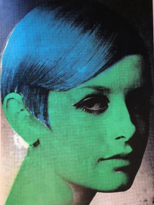 Twiggy - 3