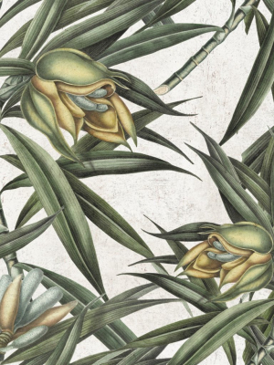 Exotic Fruit Ii Wallpaper In Green And Grey From The Tropical Vibes Collection By Mind The Gap