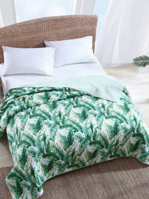 Anguilla Botanical Quilt Green - Tommy Bahama