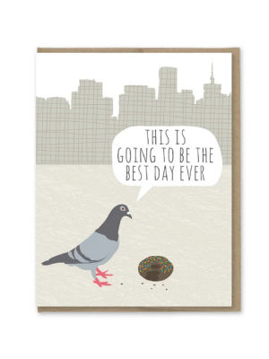 Pigeon Birthday Card - Mp5