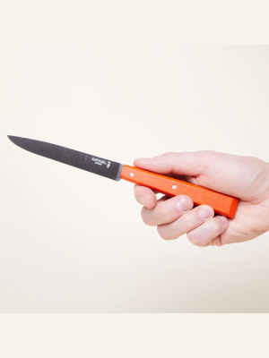 Colorful French Steak Knife