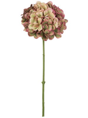 Sullivans Artificial Hydrangea Stem