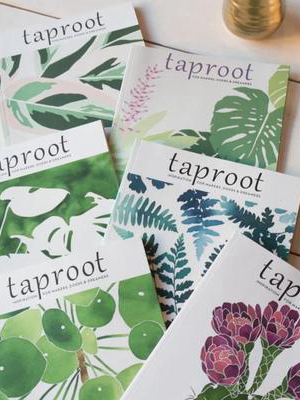 Taproot Magazine