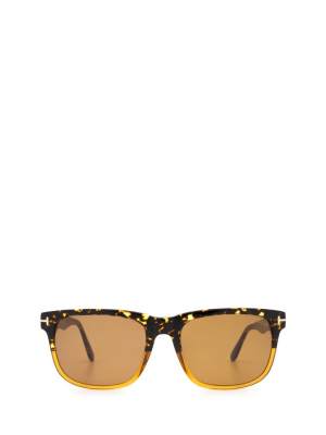 Tom Ford Eyewear Stephenson Sunglasses