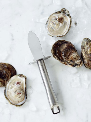 Paderno Stainless-steel Oyster Knife