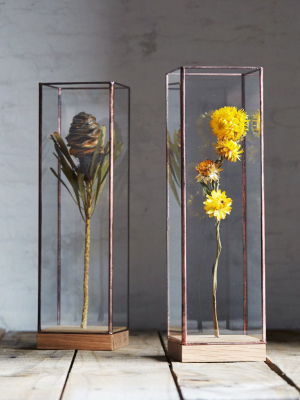 Flower Showcase - Large Copper