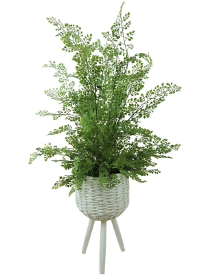 46" X 18" Artificial Maiden Hair Fern Plant In Basket Stand - Lcg Florals