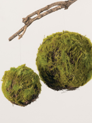 Sullivans Set Of 2 Moss Orbs Decorative Filler 8"h & 5.5"h Green