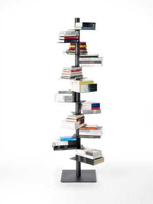 Nardo Bookcase By Michele Franzina