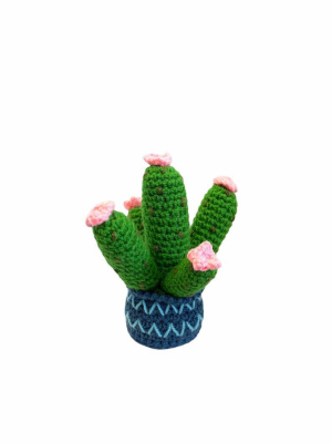 Prickly Pear Rattle