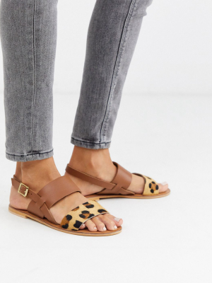 Asos Design Foxglove Leather Flat Sandals In Leopard